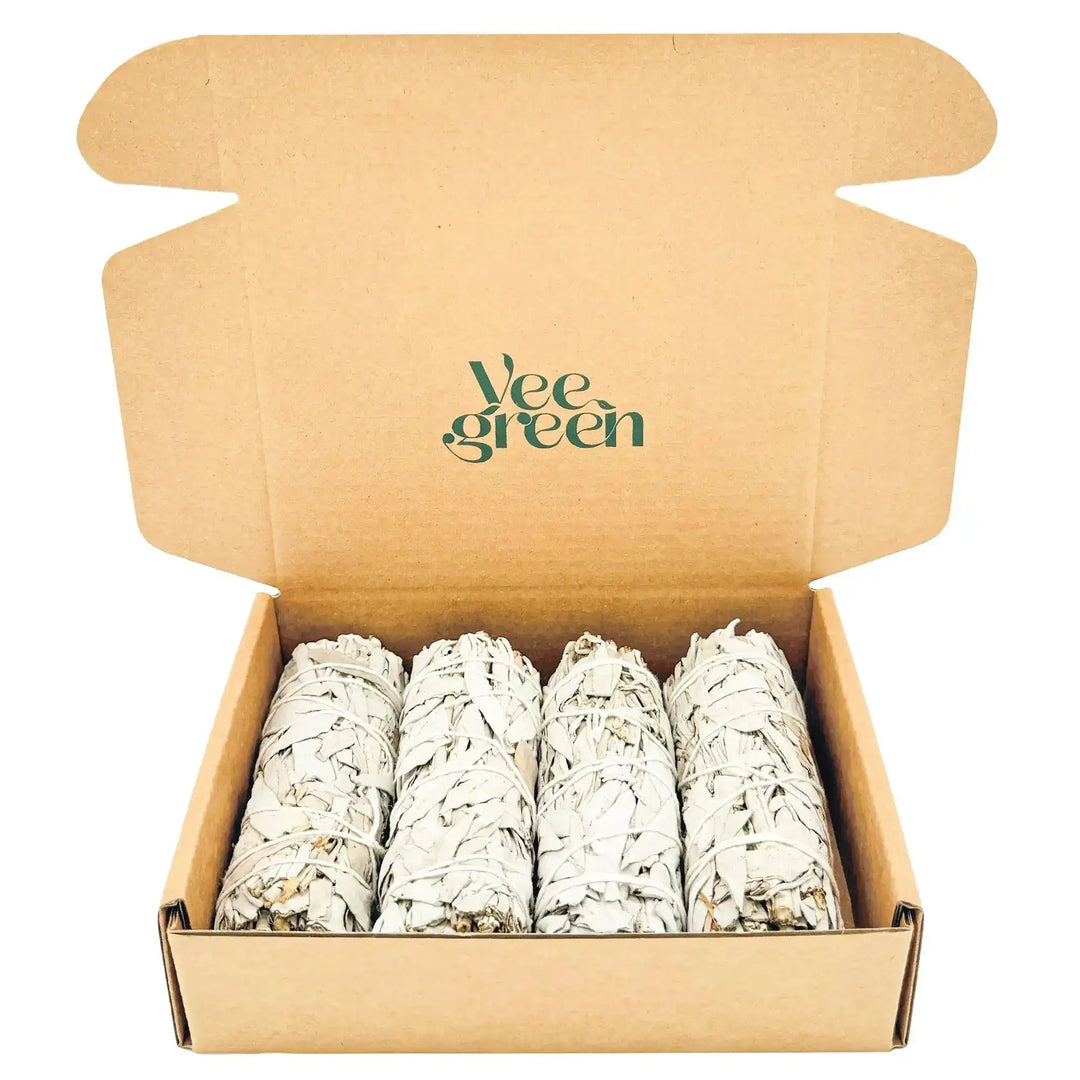 Coffret de 4 Sauges Blanches