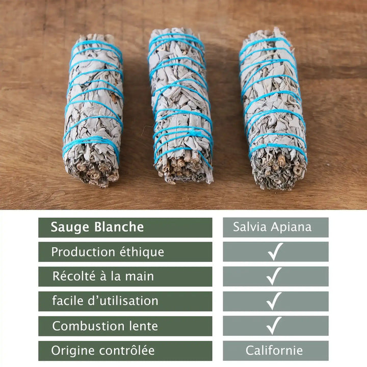 Encens Sauge Blanche Salvia Apiana