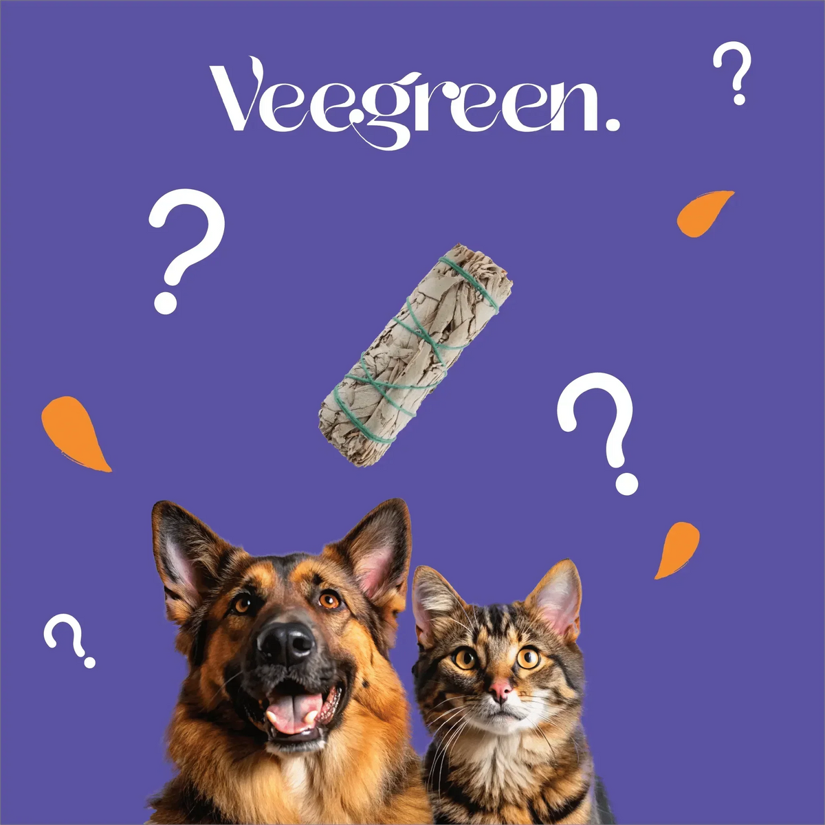 Effets-de-la-Sauge-et-du-Palo-sur-les-animaux Veegreen