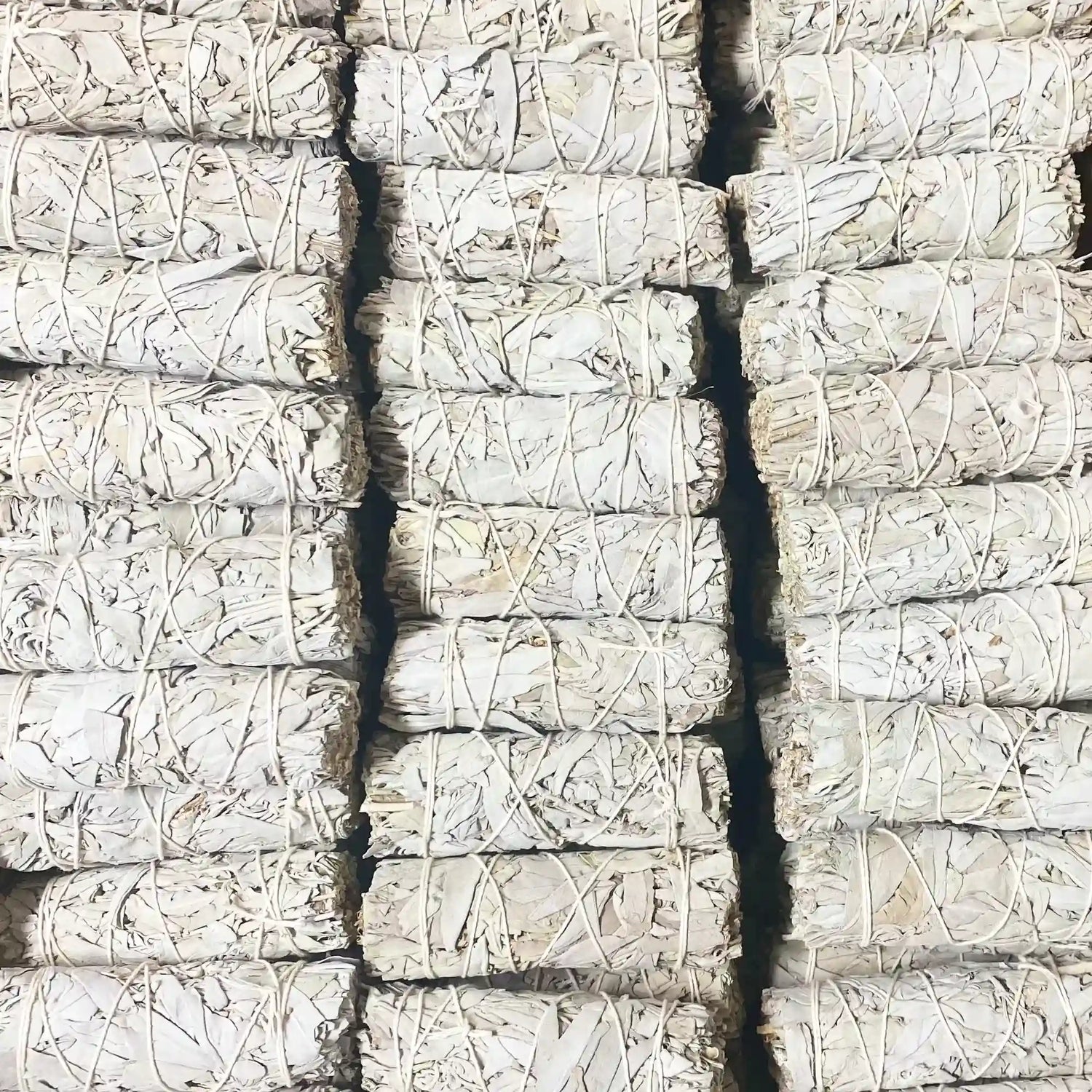 Où trouver de la sauge blanche et comment la choisir ?