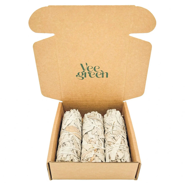 Bâtonnets de Sauges Blanches Veegreen