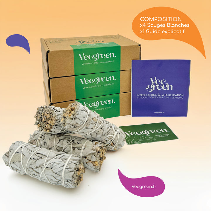 4 bâtonnets de Sauges Blanche Veegreen