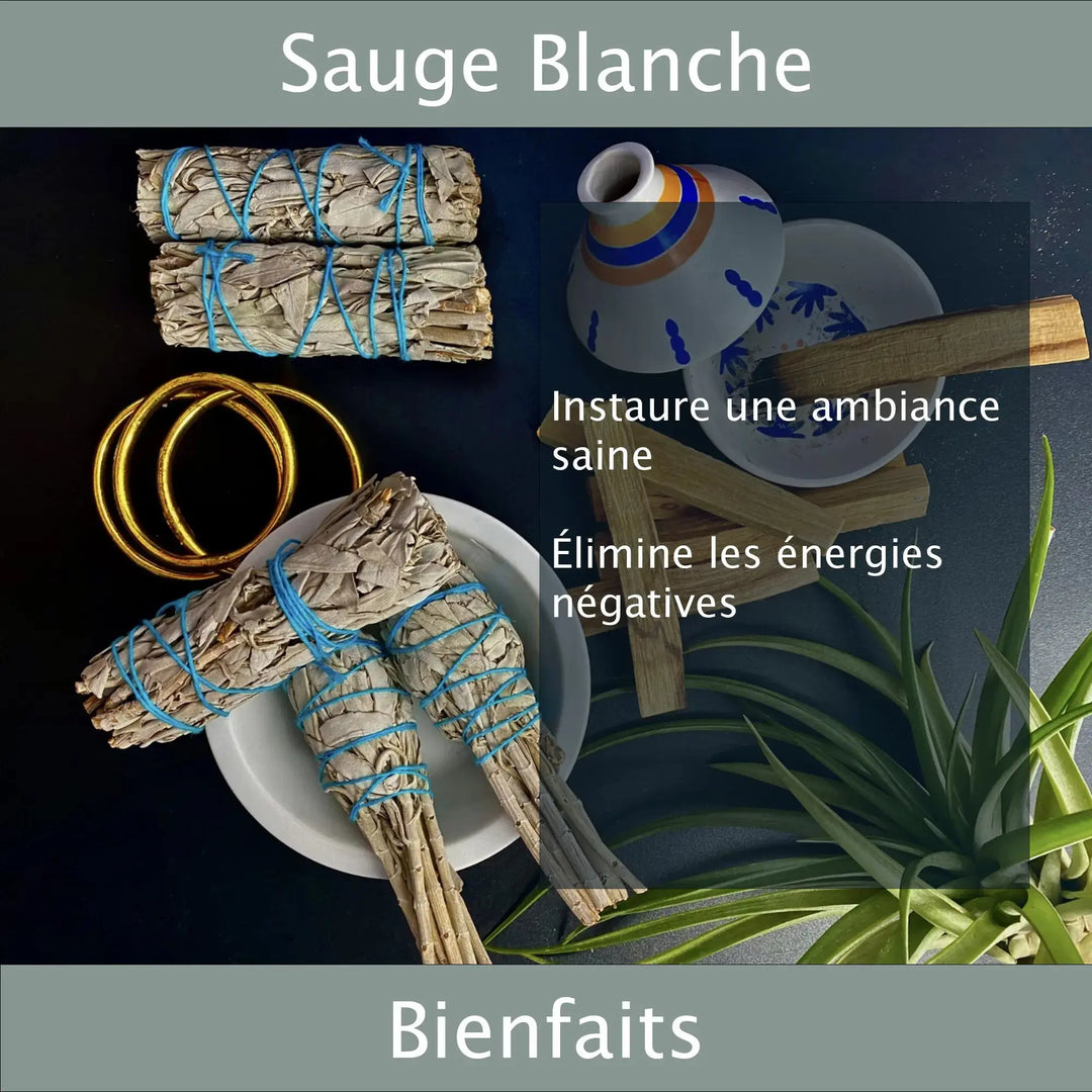 Bâtonnets de Sauges Blanches Veegreen