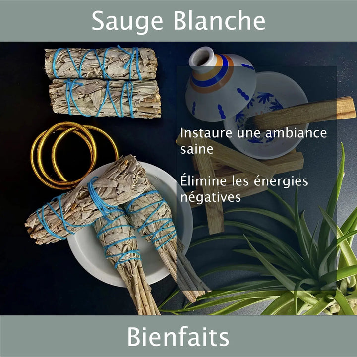 Bâtonnets de Sauges Blanches Veegreen