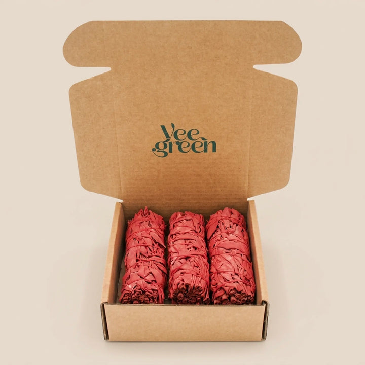 Salbei Dragon Blood x3