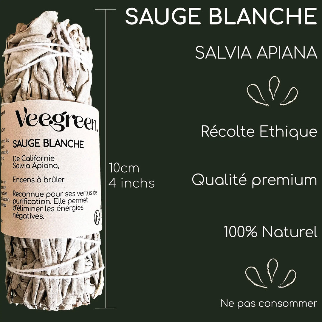 Coffret sauge blanche purification Veegreen