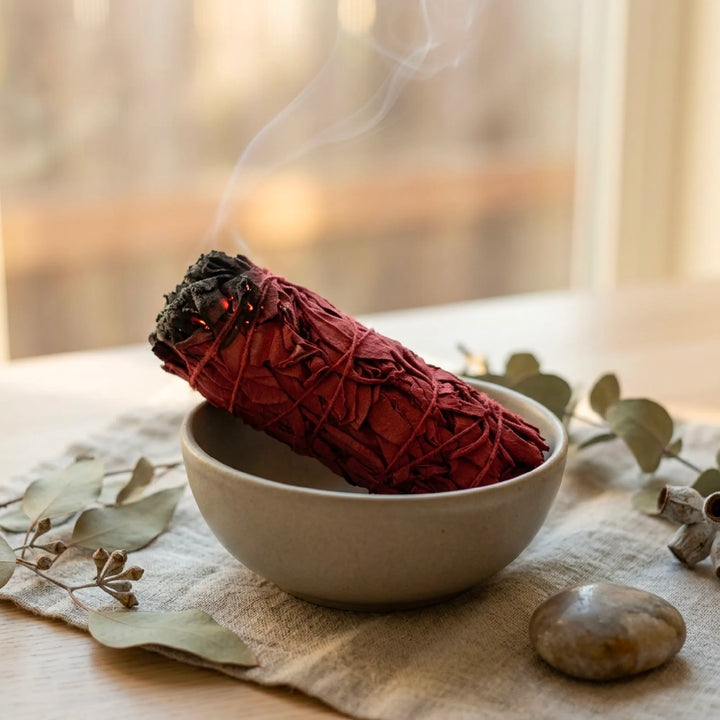 Salbei Dragon Blood x3