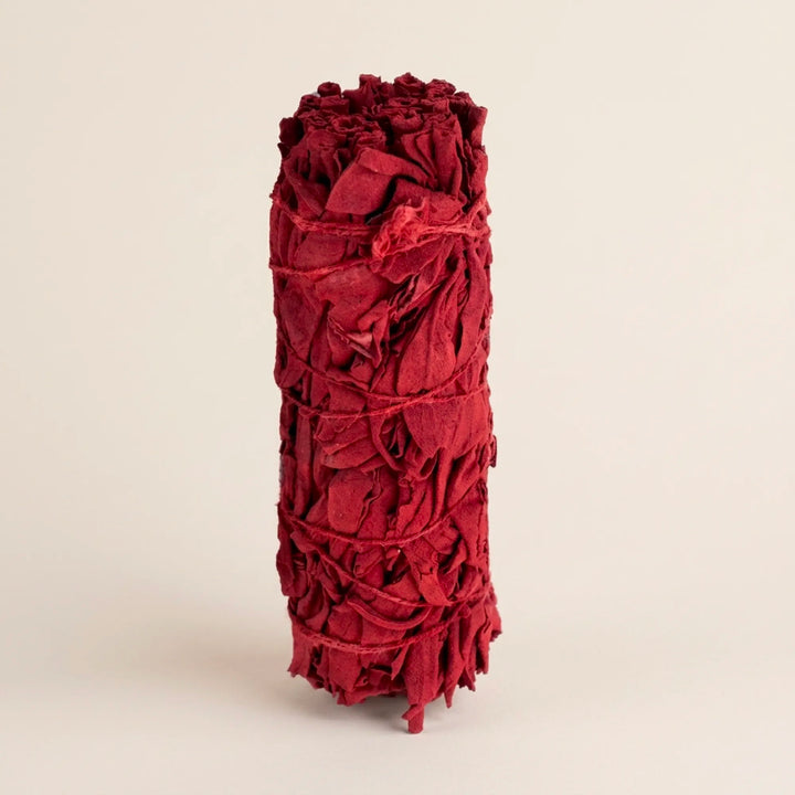 Salbei Dragon Blood x3