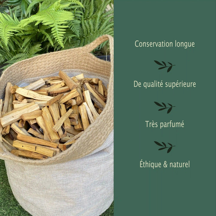 Bois de Palo Santo Vrac Naturel