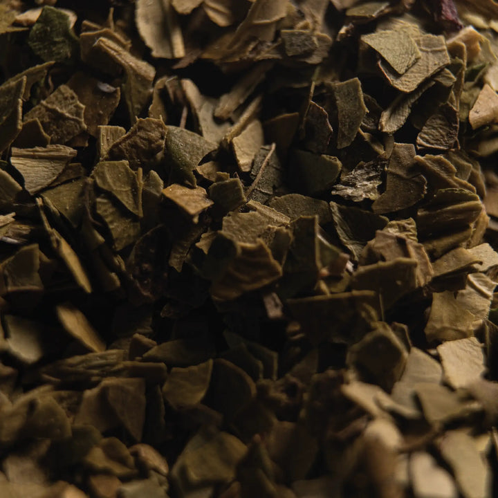 Organic Green Yerba Mate