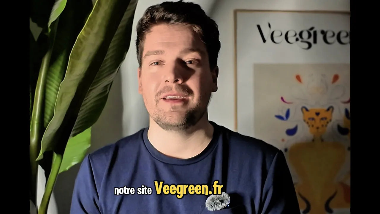 Video laden: 
