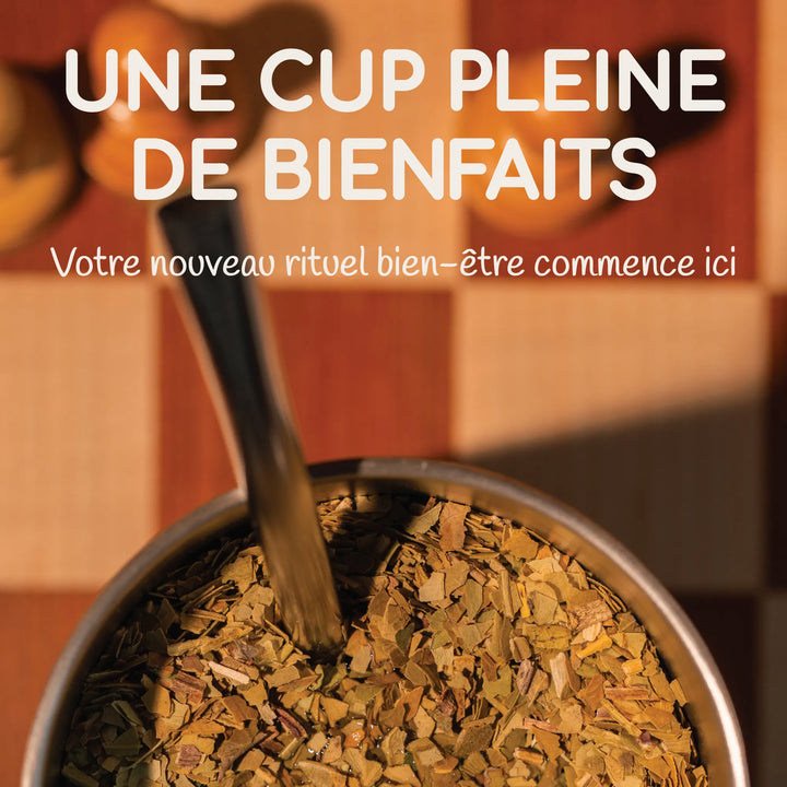 Yerba Maté kit coffret dégustation