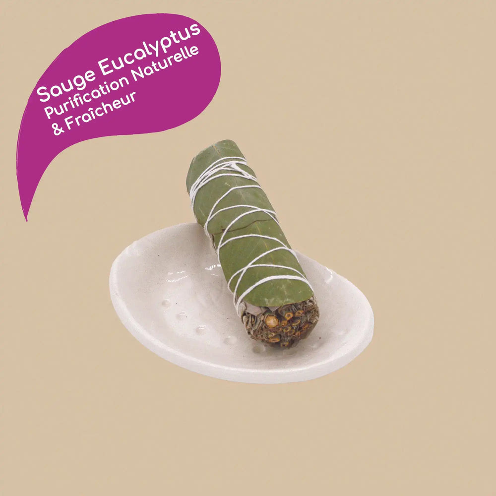 Encens Sauge Blanche eucalyptus purification