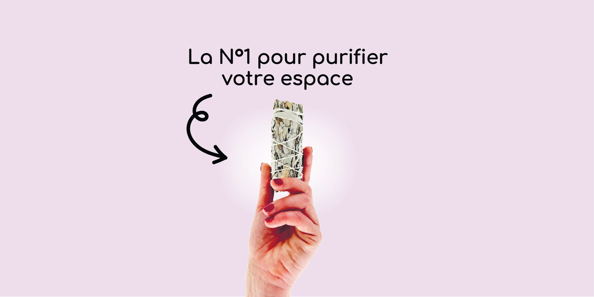 Sauge Blanche Bannière principale Veegreen