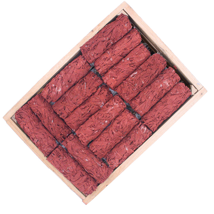 Salbei Dragon Blood x3