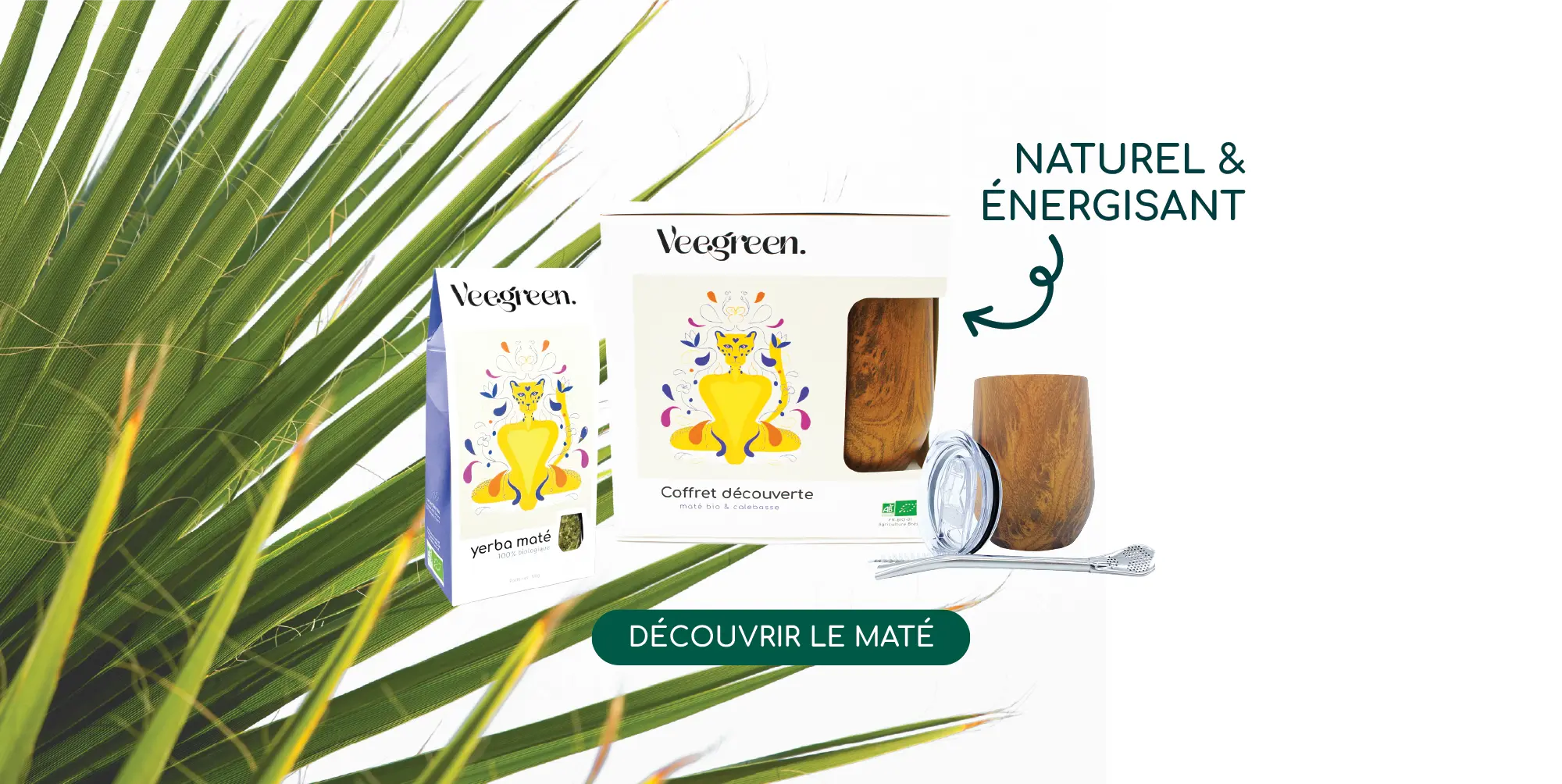 Yerba Maté Naturel et Énergisant